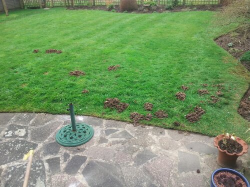 20130326_125743.jpg image