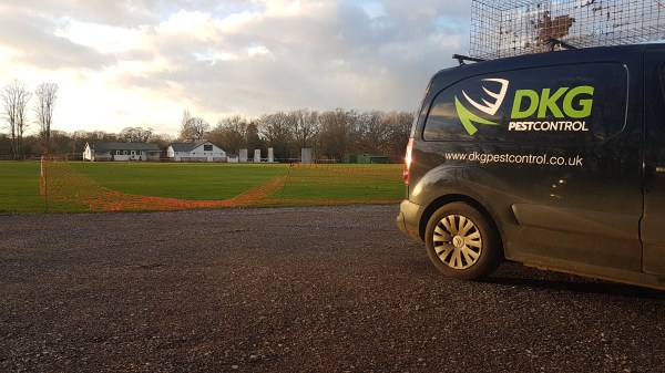 Mole Control Binfield