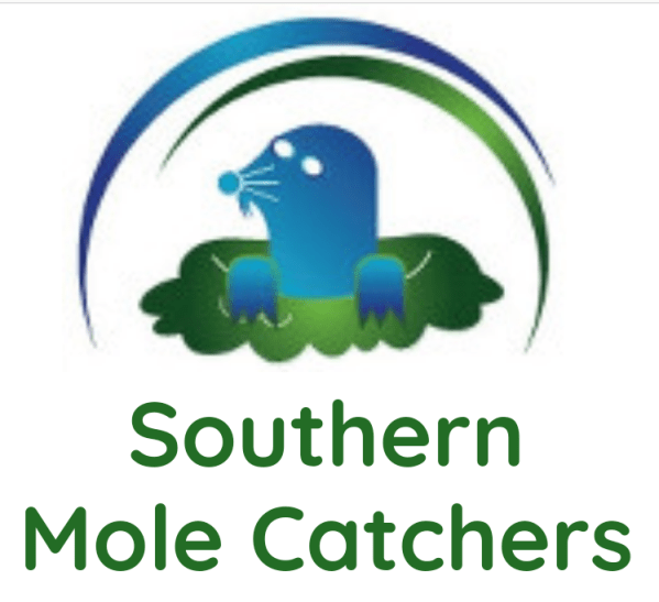 Southern Mole Catchers Berkshire