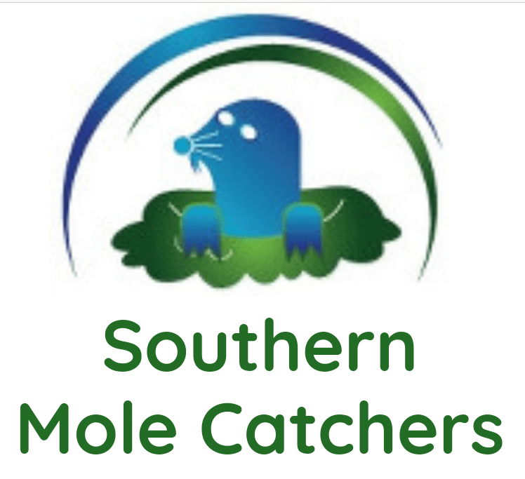 Southern Mole Catchers Berkshire