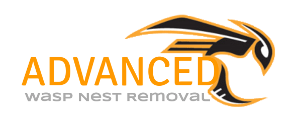 Wasp Nest Removal