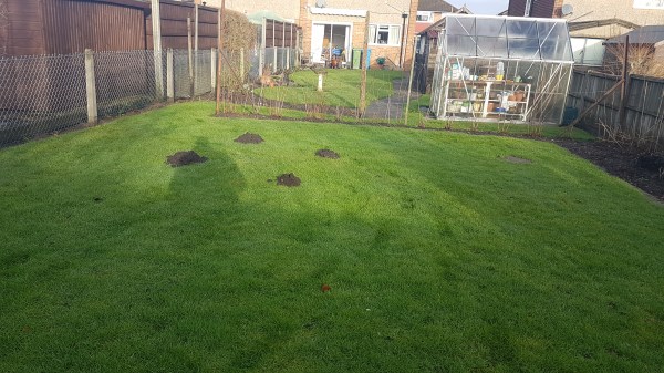 Newbury mole catcher