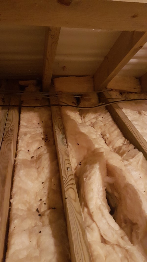 Rats in loft