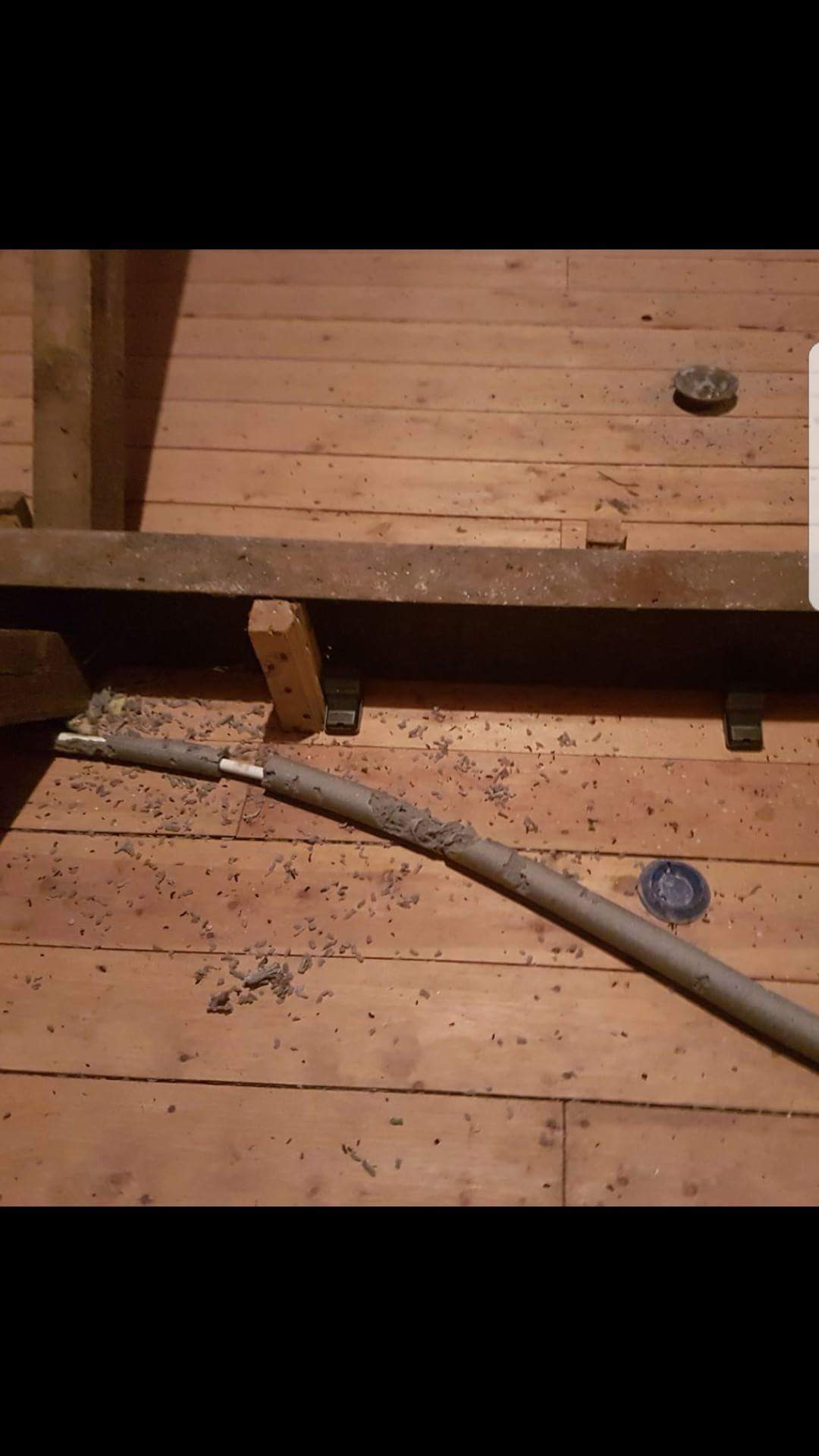 Pest Control in Berkshire