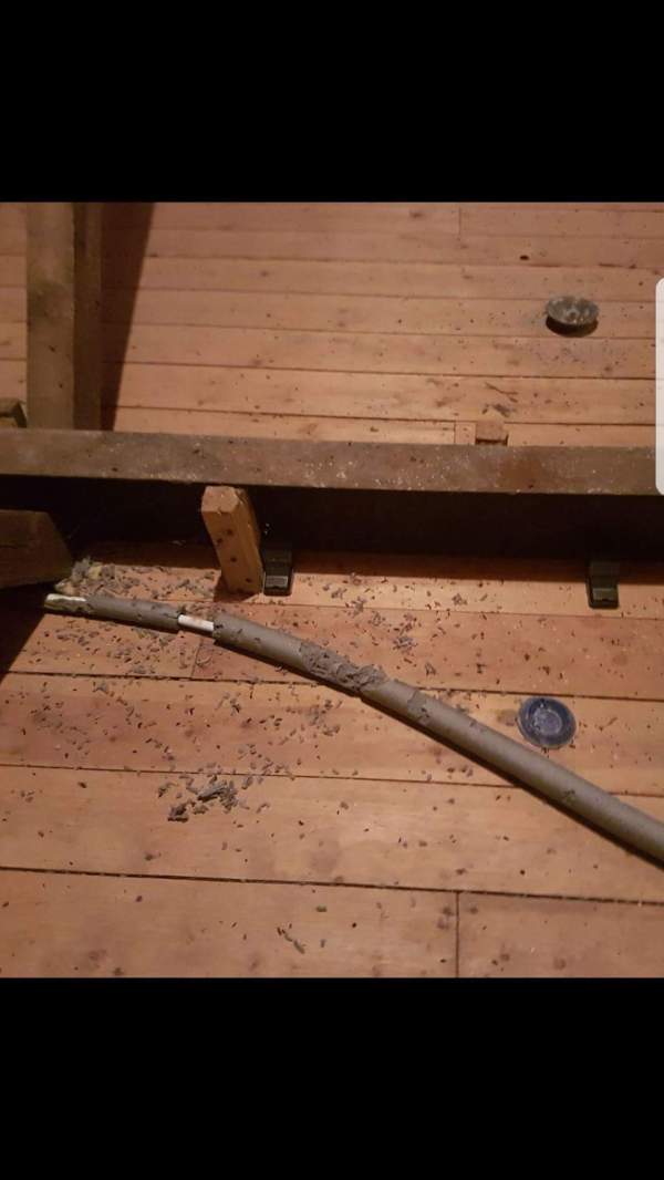 Pest Control in Berkshire