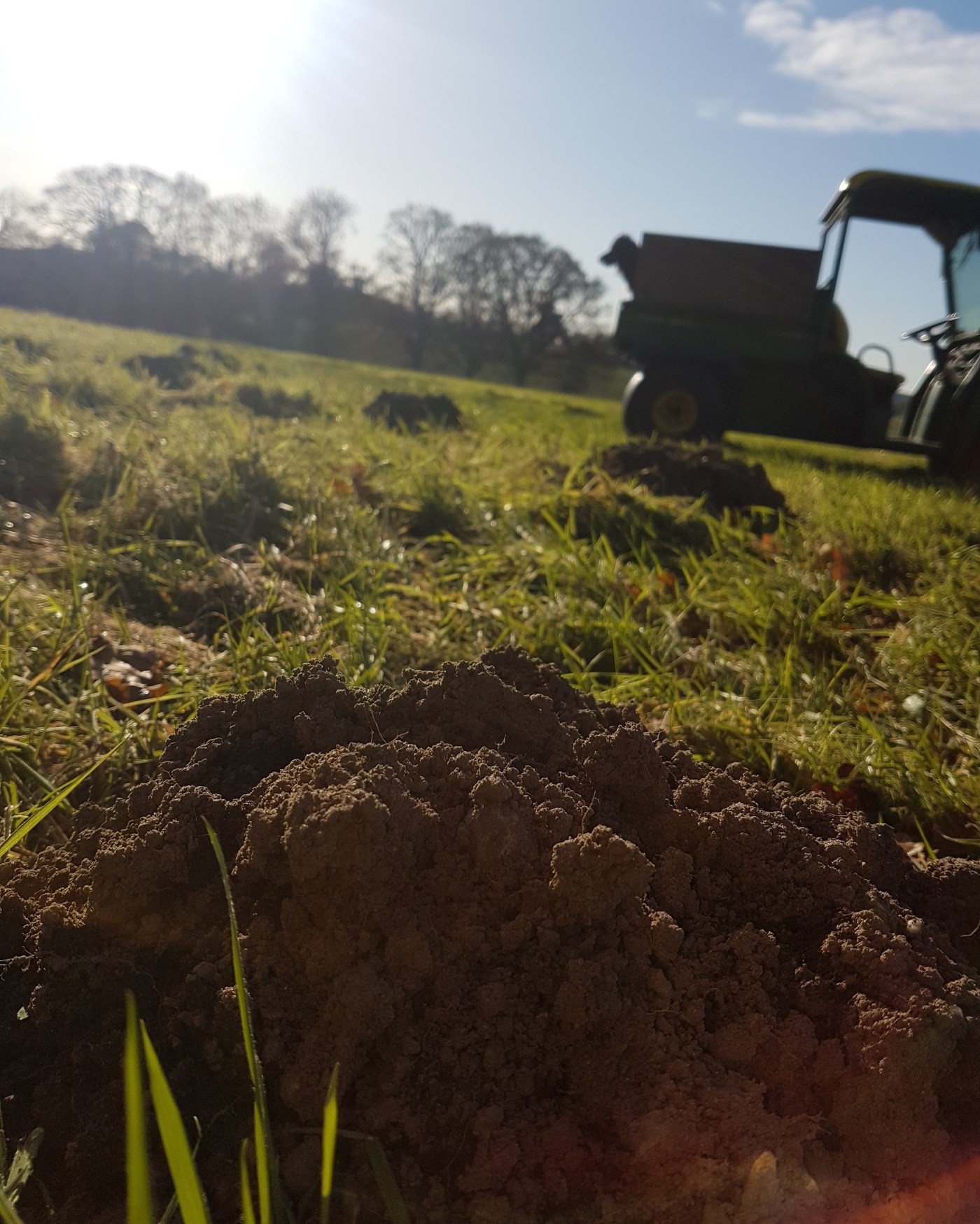 Mole Catcher pangbourne