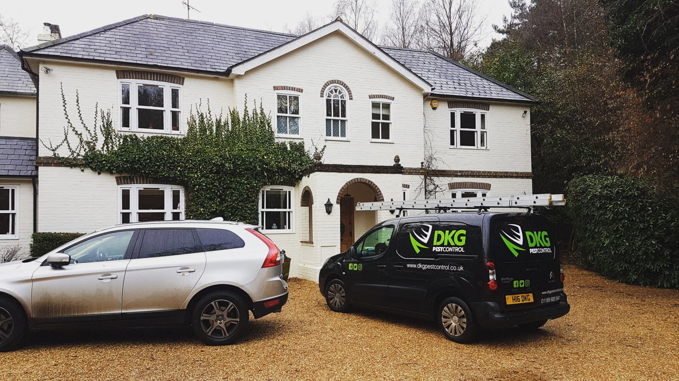 pest control berkshire