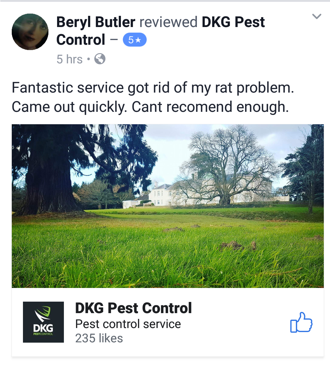 Pest Control