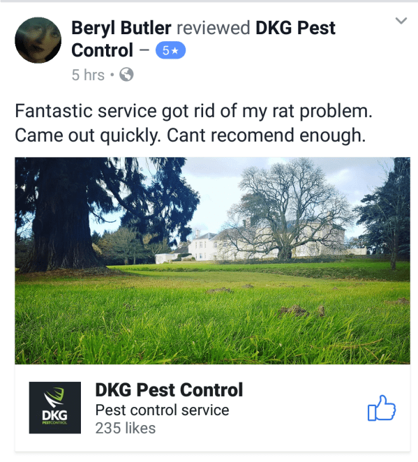 Pest Control