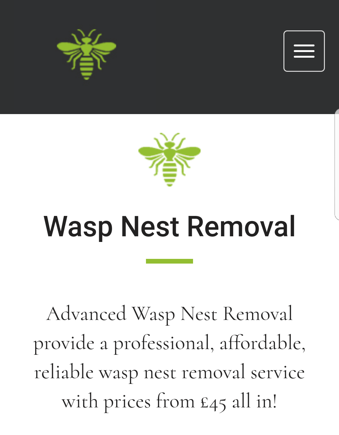 Wasp Nest Removal