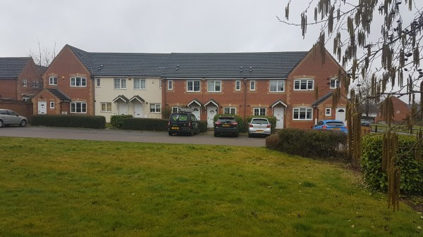 Rat Clearance in Wokingham