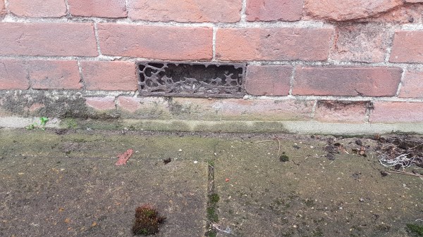 Pest Control mice in loft