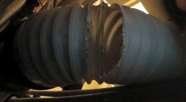 Pest Control for Rats in Berkshire