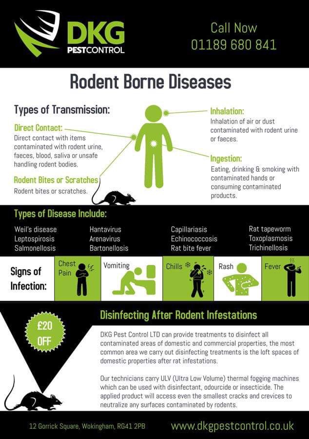 Rodent Disinfecting Berkshire